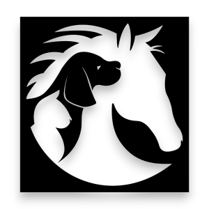 Dekor stalowy, Koń dK-10